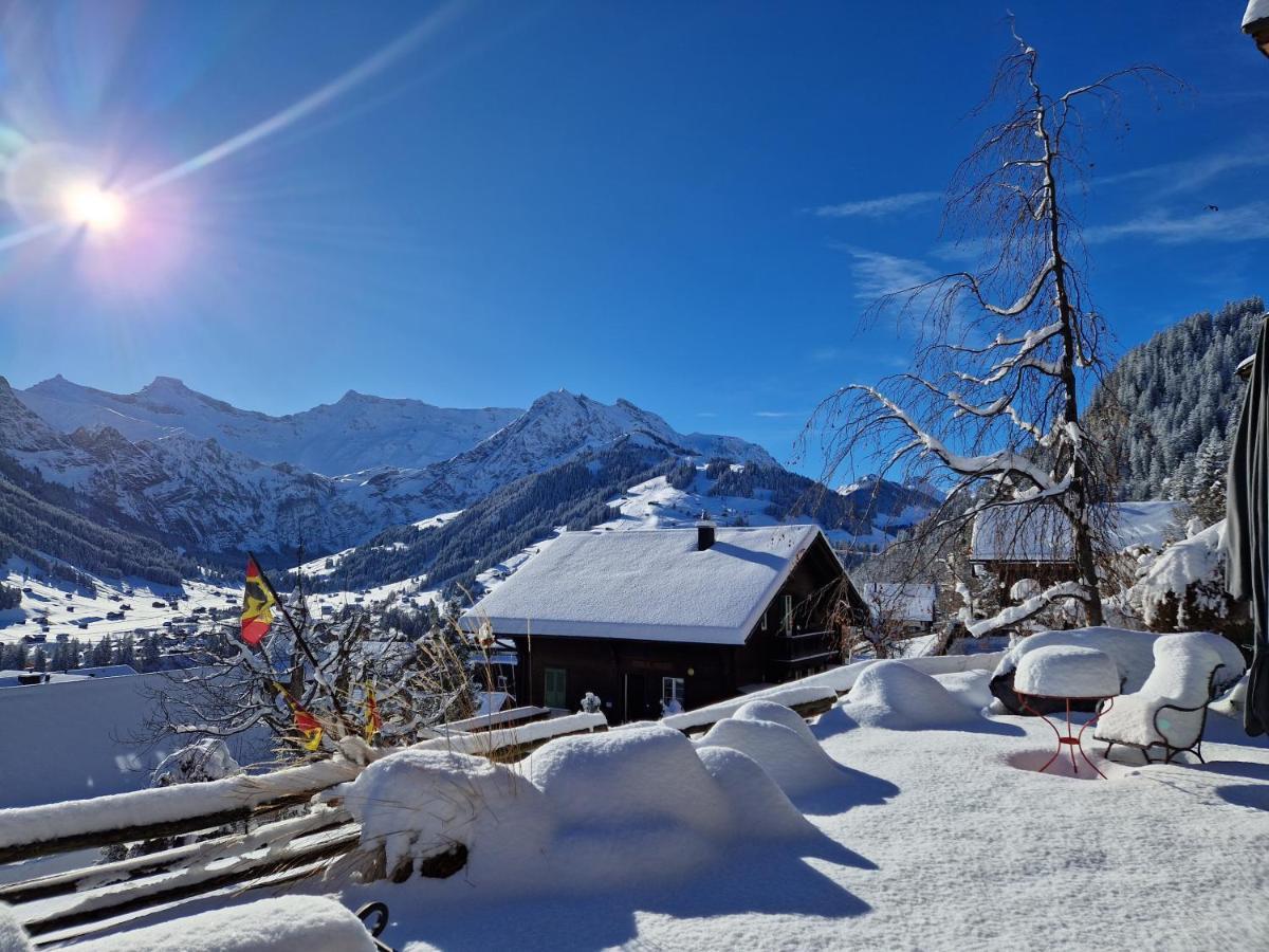 Chalet Gotthelf Gartenstudio, Ferien Mit Hund Adelboden Exterior photo