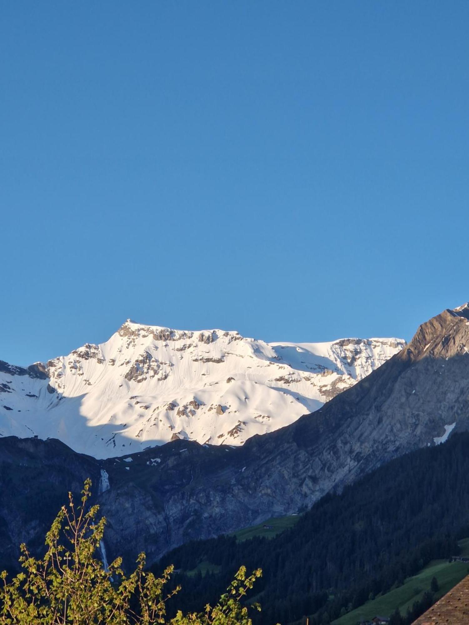 Chalet Gotthelf Gartenstudio, Ferien Mit Hund Adelboden Exterior photo
