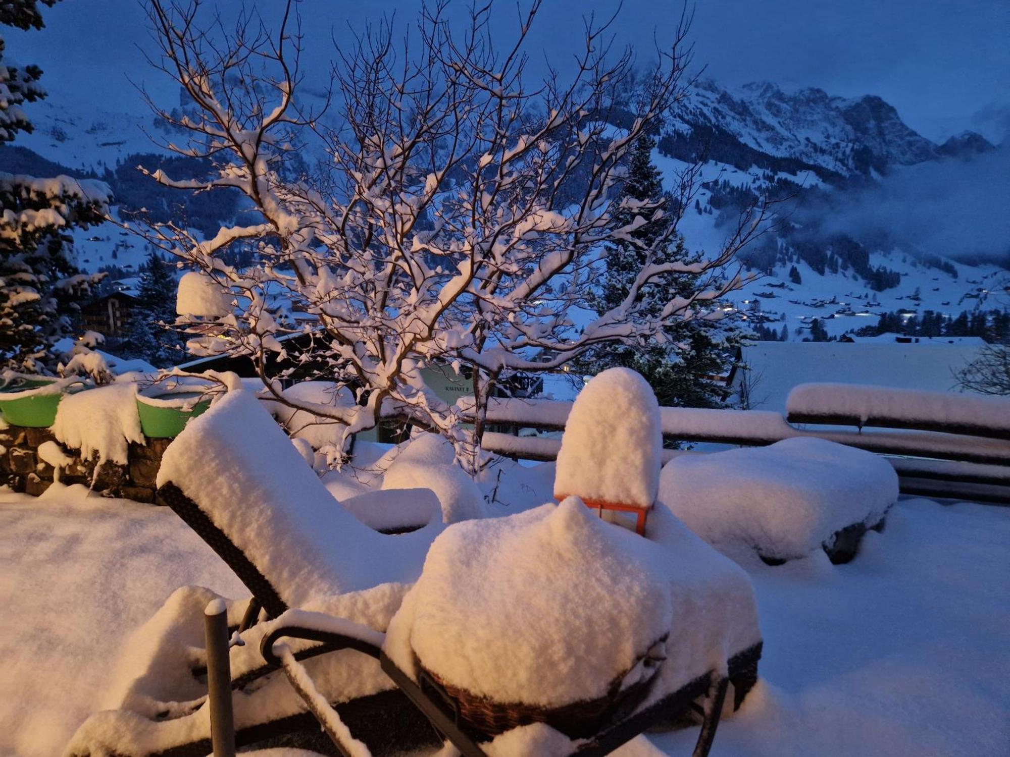 Chalet Gotthelf Gartenstudio, Ferien Mit Hund Adelboden Exterior photo